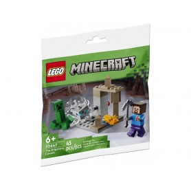 LEGO Minecraft - La caverne de spéléothèmes (30647)