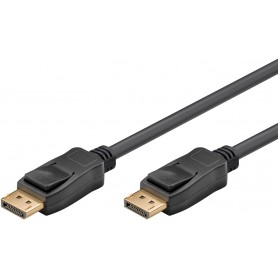 Câble de Connexion DisplayPort 1.4 1 m