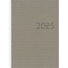 rido id Agenda planning \"studioplan int. Tejo\", 2025, gris