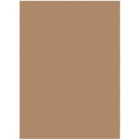 6375 - Lot de 50 feuilles de papier de couleur - Brun ambre - Format A3-130 g/m² - Pour le bricolage et la conception creative d